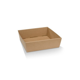 Corporate Catering Tray  Medium 250x250x80  100 pcs