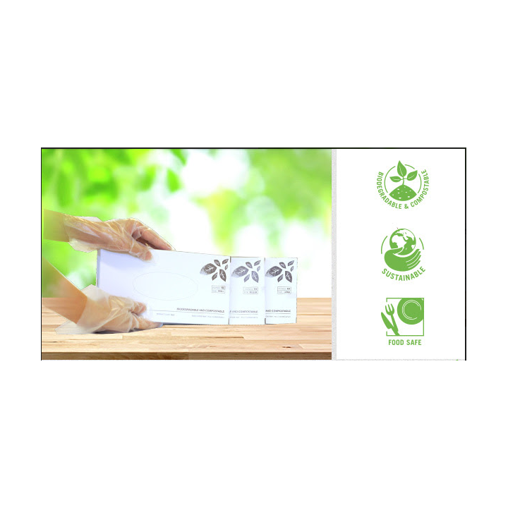 Biodegradable MEDIUM Disposable Gloves  2400 pcs