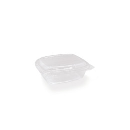 PET Hinged Rectangle container 12oz  300 pcs