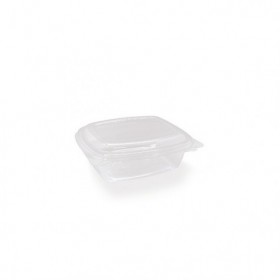 PET Hinged Rectangle container 12oz  300 pcs