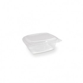 PET Hinged Rectangle container 16oz  300 pcs