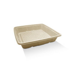 10" Catering Platter sugarcane  100 pcs