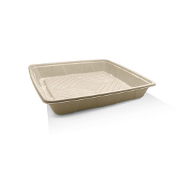 12" Catering Platter sugarcane  100 pcs