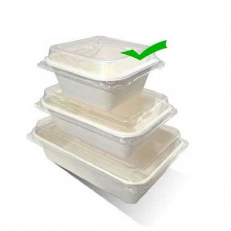 7oz(207ml) Takeaway Serving Tray Sugarcane  1000 pcs