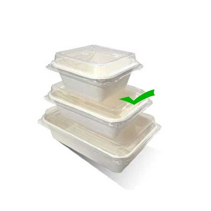 10oz(295ml) Takeaway Serving Tray Sugarcane  1000 pcs