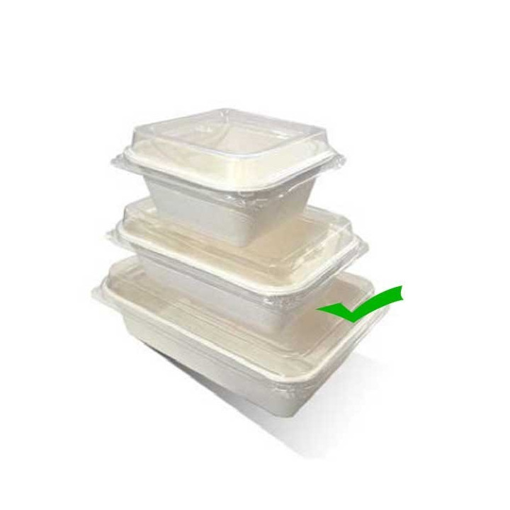 18oz(532ml) Takeaway Serving Tray Sugarcane  500 pcs