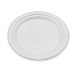 10" Sugarcane Bagasse Round Plate  500 pcs