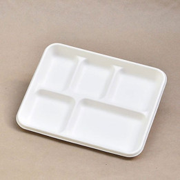 5 Compartment Sugarcane Bagasse Plate  500 pcs