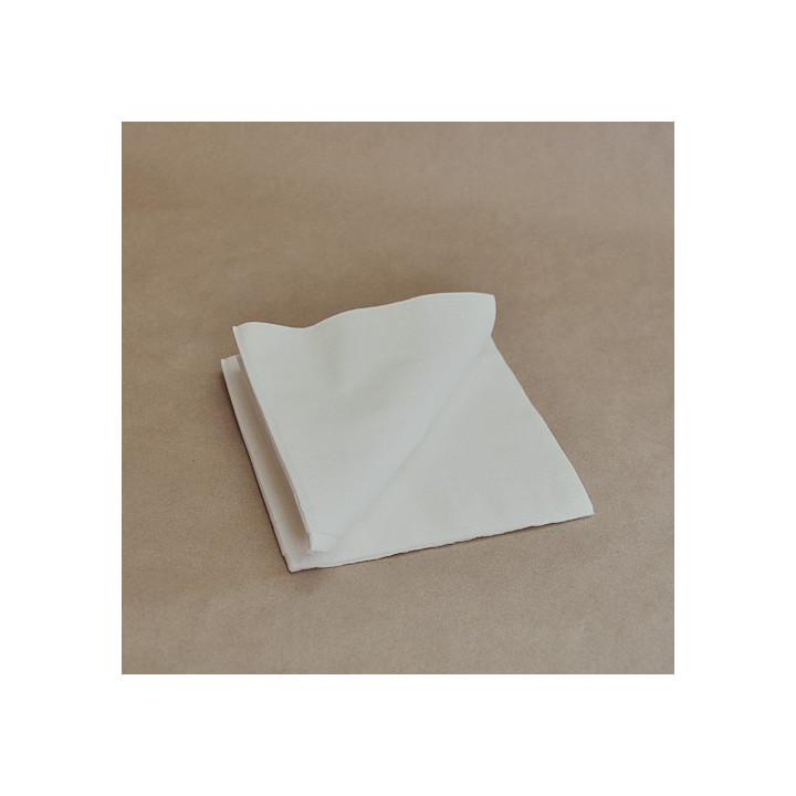 2PLY Cocktail Napkin 1/4 Fold Sugarcane Bamboo Mix  2000 pcs