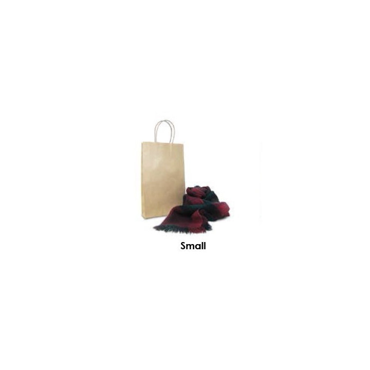 Brown Kraft Takeaway Bag - Small  500 pcs