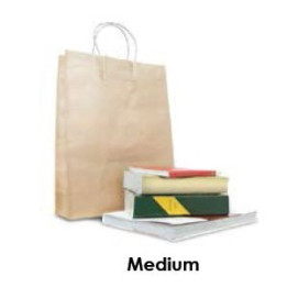 Brown Kraft Takeaway Bag - Medium  250 pcs