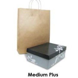 Brown Kraft Takeaway Bag - Medium Plus  250 pcs