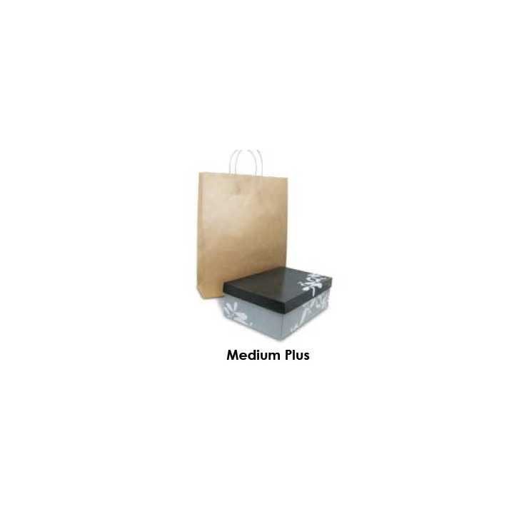 Brown Kraft Takeaway Bag - Medium Plus  250 pcs