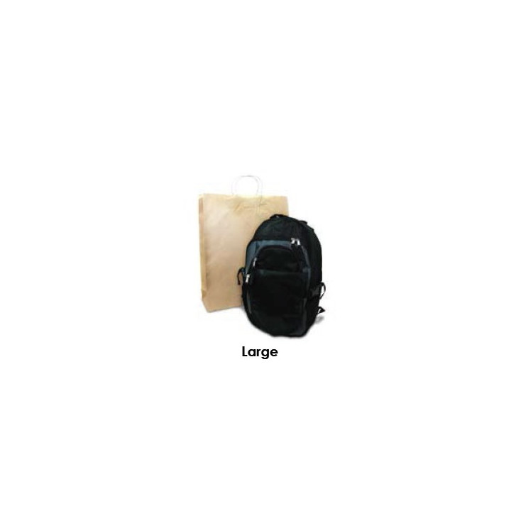 Brown Kraft Takeaway Bag - Large  250 pcs