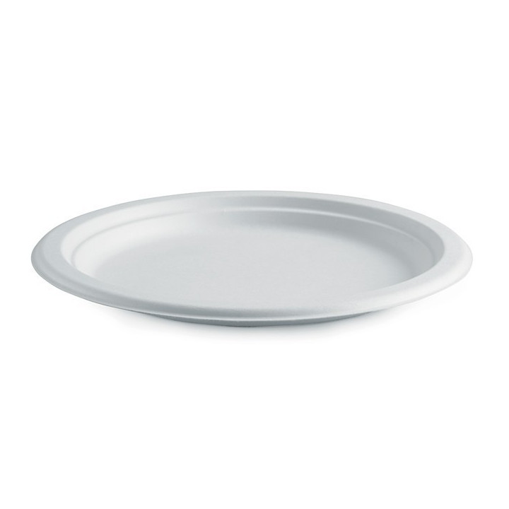 10" Round Plate Biodegradable White  500 pcs