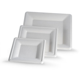 10Ã¢â‚¬Â Sugarcane Square Plate 262x262x19  600 pcs