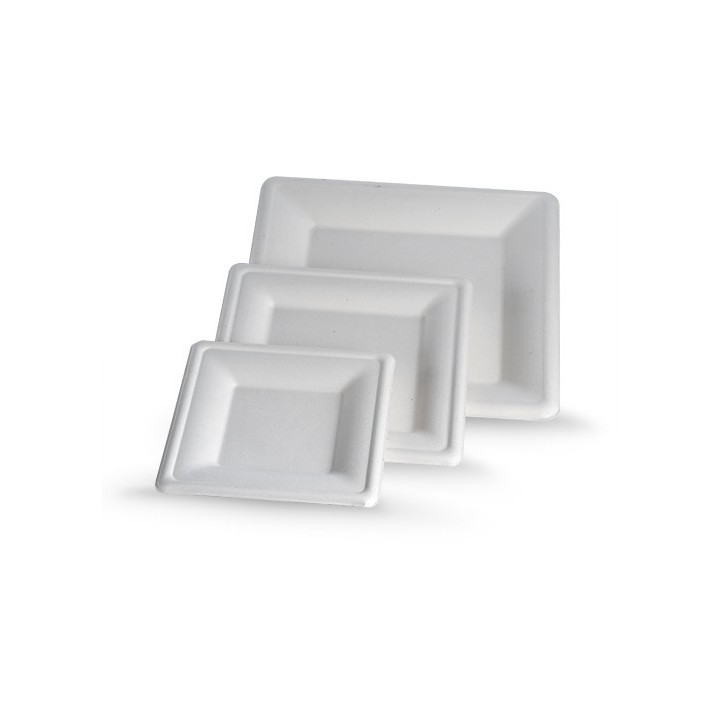 10Ã¢â‚¬Â Sugarcane Square Plate 262x262x19  600 pcs